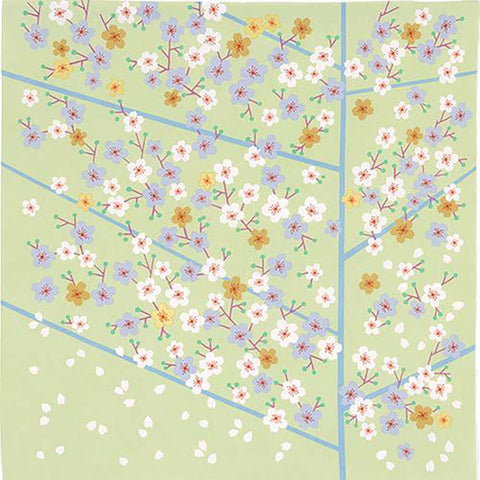Himemusubi - Sakura  桜 グリーン (Green)  20552-107  - Furoshiki   50 x 50 cm