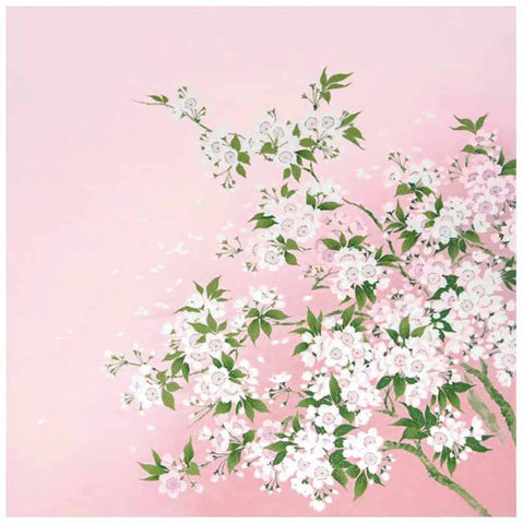 Chirimen Sansaku Furoshiki 100% silk  - Eda Sakura  枝桜  - Furoshiki (Japanese Wrapping Cloth) 68 x 68 cm 正絹さざ波ちりめん友仙ふろしき