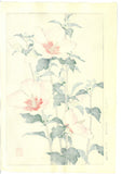 Osuga Yuichi - Mukuge - Free Shipping