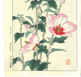 Osuga Yuichi - Mukuge - Free Shipping
