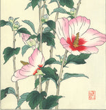 Osuga Yuichi - Mukuge - Free Shipping
