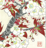 Kawarazaki Shodo - F016 Sakura (Cherry Blossoms) - Free Shipping