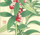 Kawarazaki Shodo - F107  Housenka  - Free Shipping