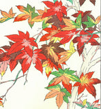 Osuga Yuichi - Momiji (Autumn leaves) - Free Shipping