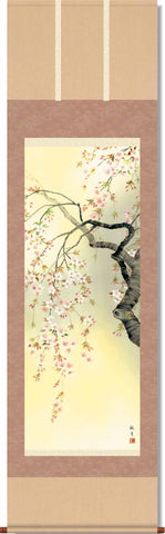 Sankoh Kakejiku - 5A6-09A Sakura - Free Shipping