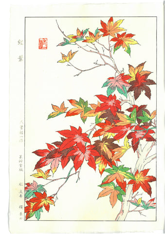 Osuga Yuichi - Momiji (Autumn leaves) - Free Shipping