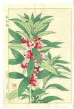 Kawarazaki Shodo - F107  Housenka  - Free Shipping