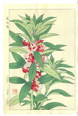 Kawarazaki Shodo - F107  Housenka  - Free Shipping