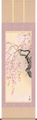 Sankoh Kakejiku - 34A6-09A  Sakura - Free Shipping