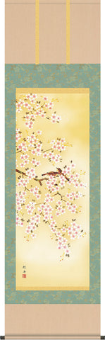 Sankoh Kakejiku - 48A6-23A   Sakura - Free Shipping