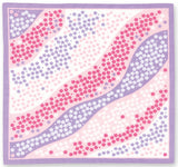 Okamisan -  Siba Sakura (Moss phlox) 芝桜   M299-06563  - Furoshiki 70 x 70 cm