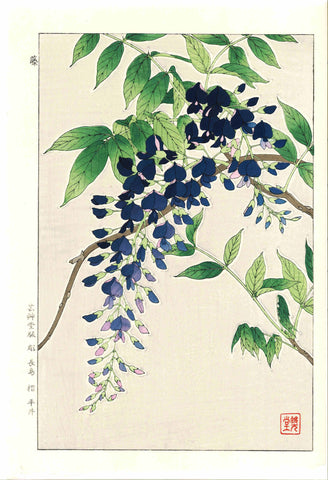 Kawarazaki Shodo - F113 Fuji (Wisteria) - Free Shipping
