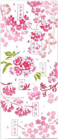 Kenema  - 50178  Sakura Zuhan  桜図鑑 (The dyed Tenugui)