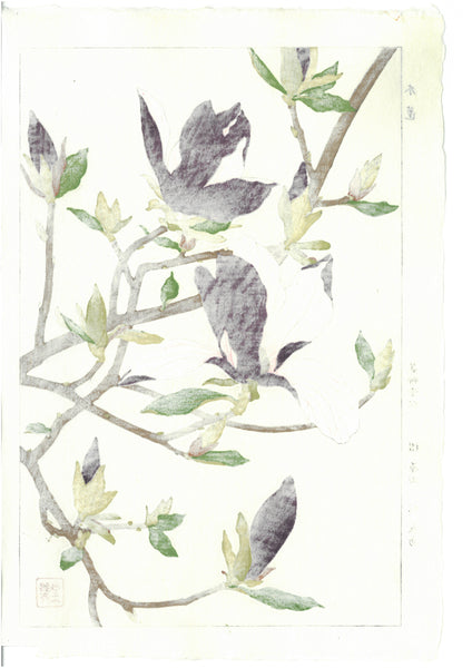 Kawarazaki Shodo - F077 Mokuren (Magnolia) - Free Shipping
