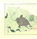 Kawanabe Kyosai - Kame (Turtle) - Free Shipping