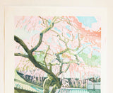 Mibugawa Junichi - Haru no iro  (Spring color)  (春の色)  - Free Shipping