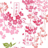 Kenema  - 50178  Sakura Zuhan  桜図鑑 (The dyed Tenugui)