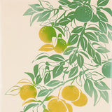 Kenema -  50128 Yuzu minoru koro  柚子実る頃  (The dyed Tenugui) - Japanese traditional Tenugui