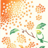 Kenema - 50166  Mejiro Kimmokusei   目白金木犀   (The dyed Tenugui)