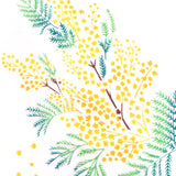 Kenema - 50107 Kaoru Mimosa  香るミモザ  (The dyed Tenugui)