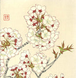 Kawarazaki Shodo - F019 Sakura (Cherry Blossoms)