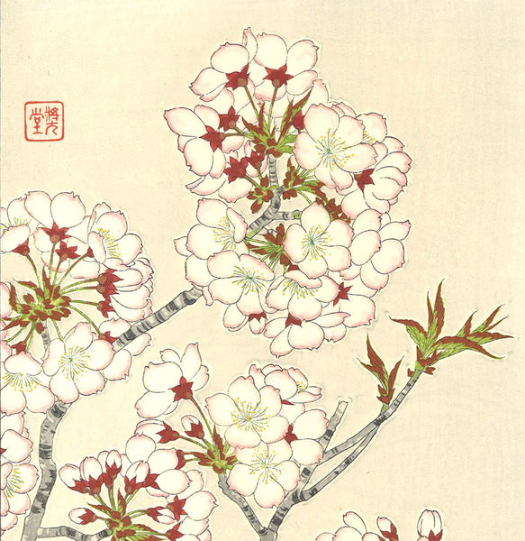 Kawarazaki Shodo - F019 Sakura (Cherry Blossoms) – Magnificent
