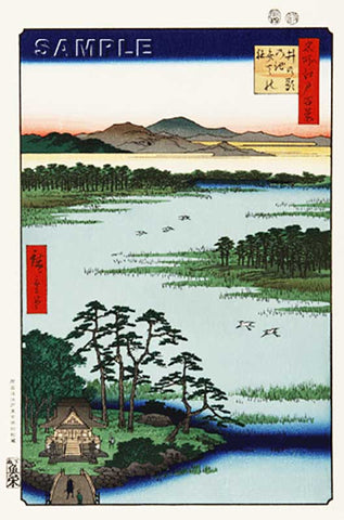 Utagawa Hiroshige - No.087 Benten Shrine at the Inokashira Pond 井の頭の池弁天の社 - One hundred Famous View of Edo - Free shipping