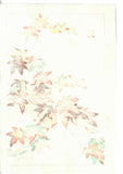 Osuga Yuichi - Momiji (Autumn leaves) - Free Shipping