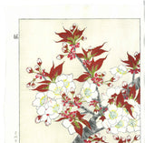 Kawarazaki Shodo - F016 Sakura (Cherry Blossoms) - Free Shipping