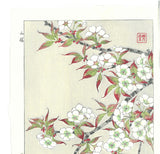 Kawarazaki Shodo - F017 Sakura (Wild cherry) - Free Shipping