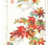 Osuga Yuichi - Momiji (Autumn leaves) - Free Shipping