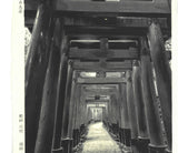 Kitamura  Shoichi - # KS2 Kyoto Senbon Torii  (Fushimi Inari)  First Edition 2021 - Free Shipping