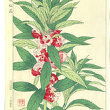Kawarazaki Shodo - F107  Housenka  - Free Shipping