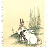 Maruyama Okyo -  #1 Mokuzoku (scouring rush) & Rabbits - Free Shipping