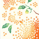 Kenema - 50166  Mejiro Kimmokusei   目白金木犀   (The dyed Tenugui)