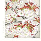 Kawarazaki Shodo - F020 Somei Yoshino (Cherry Blossoms) - Free Shipping