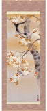 Sankoh Kakejiku - 5A6-02A - Sakura ni Kotori (Sakura & small bird) - Free Shipping