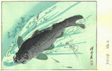 Kawanabe Kyosai - Kawazakana(Carp) - Free Shipping