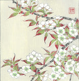 Kawarazaki Shodo - F017 Sakura (Wild cherry) - Free Shipping