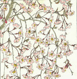 Kuzuhara Teru - F143 Sakura Sakura 　しだれ桜　 (Weeping cherry tree) -  Free Shipping