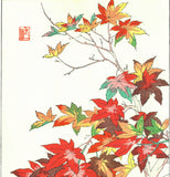 Osuga Yuichi - Momiji (Autumn leaves) - Free Shipping