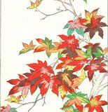 Osuga Yuichi - Momiji (Autumn leaves) - Free Shipping