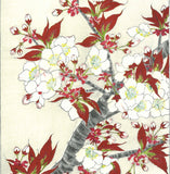 Kawarazaki Shodo - F016 Sakura (Cherry Blossoms) - Free Shipping