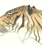 Yoshida Toshi - #012601 Tora (Tiger) - Free Shipping