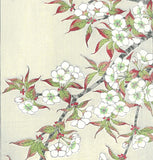Kawarazaki Shodo - F017 Sakura (Wild cherry) - Free Shipping