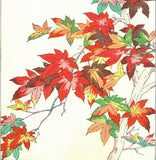 Osuga Yuichi - Momiji (Autumn leaves) - Free Shipping
