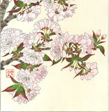 Kawarazaki Shodo - F018 Yae Zakura (Sakura) - (Double Cherry) - Free Shipping