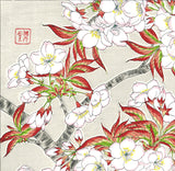 Kawarazaki Shodo - F020 Somei Yoshino (Cherry Blossoms) - Free Shipping