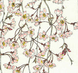 Kuzuhara Teru - F143 Sakura Sakura  しだれ桜  (Weeping cherry tree) -  Free Shipping