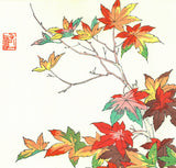 Osuga Yuichi - Momiji (Autumn leaves) - Free Shipping